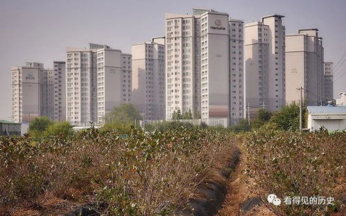 韓國漢城的房地產開發(fā) 如同地里莊稼一樣瘋長的房子