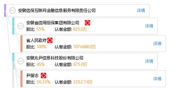 安徽信?；ヂ?lián)網(wǎng)金融信息服務(wù)有限責(zé)任公司 深耕互聯(lián)網(wǎng)信息服務(wù)，賦能區(qū)域金融創(chuàng)新
