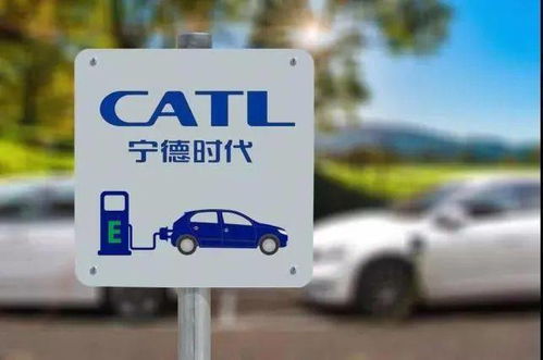 科技財經動態 裁員、投資辟謠與慈善新動向