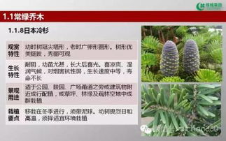 綠城集團園林軟景苗木圖譜 全面指南與花卉種植借鑒